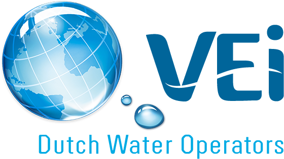 VEI: Project Assistance and Capability Development 